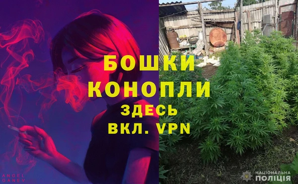 каннабис Беломорск