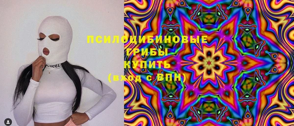 прущие крисы Белокуриха