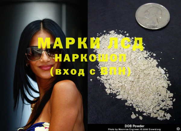 прущие крисы Белокуриха