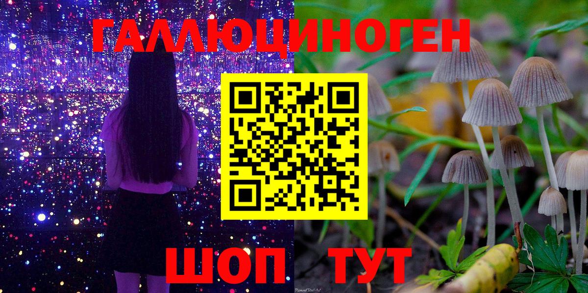 Бузулук  Псилоцибиновые грибы Magic Shrooms  Вход с VPN 