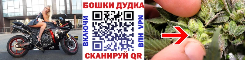Каннабис Amnesia  продажа наркотиков  Бузулук 